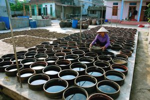 Xuyên Việt khám phá đặc sản nước mắm mọi vùng miền